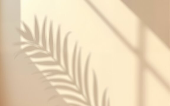 Fototapeta Beige wall background with palm leaf shadow minimalist photography. High quality