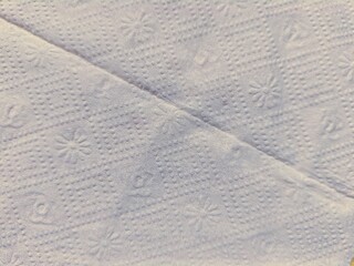 Embossed Tissue Paper Texture Delicate Floral Pattern and Folded Edge Detail.