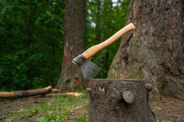 Large carpenter's axe - close-up.