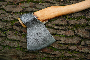 Large Russian carpenter axe - close-up