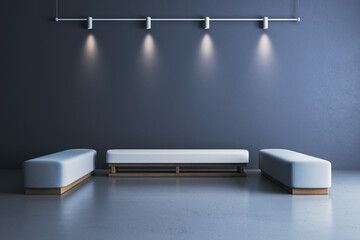 Contemporary gallery room with blank dark blue wall, spotlights and minimalist benches for art display or branding mockup presentation template. 3D Rendering