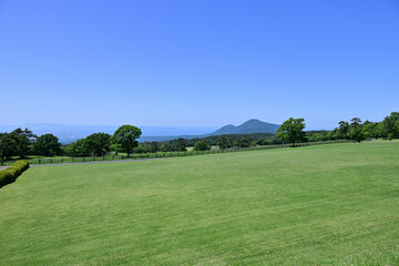 Fototapeta premium 牧場に広がる草地 牛