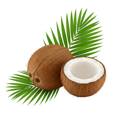 Realistic Photo of Fresh Coconuts and Palm Frond Isolated on Black