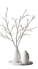 Illustration of Minimalist White Vases on Marble with Branch Twigs