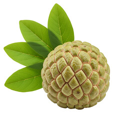 Realistic Photo of a Custard Apple with Green Leaves on Black Background