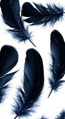 Abstract Illustration of Dark Feathers on Black Background