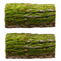 Photo of Wood Covered with Green Moss Isolated on Black