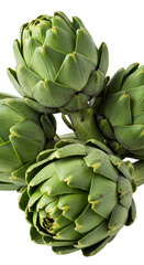 Delicious Fresh Artichokes Isolated Illustration on Black Background