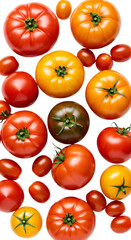 Photo of Fresh Tomatoes of Various Types on Black Background