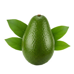 Illustration of a Fresh Avocado with Leaves for Healthy Food