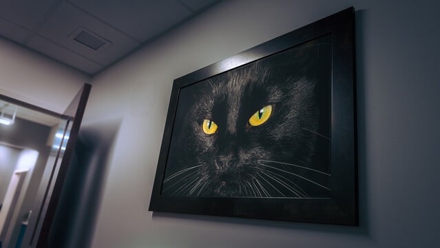 Went for a walk at the clinic