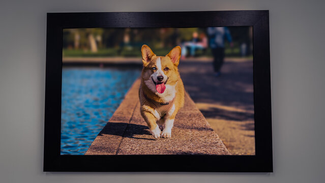 Went for a walk at the clinic