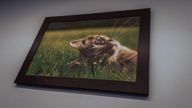 Went for a walk at the clinic