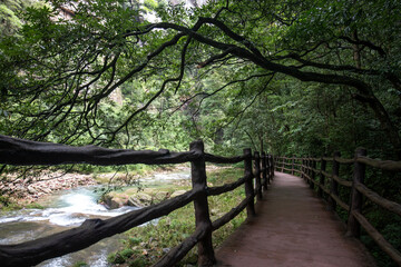 The Gold whip Stream in Zhangjiajie national forest park with its beautiful nature