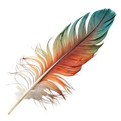 Colorful Feather Against Black Background isolated on a transparent background bird feather
