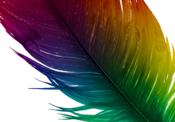 Colorful Feather Illustration with Vivid Colors and Detailed Texture