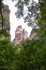 The Gold whip Stream in Zhangjiajie national forest park with its beautiful nature