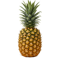 Fototapeta premium Photo of a Ripe Pineapple with a Black Background