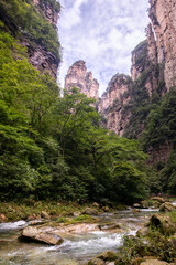 The Gold whip Stream in Zhangjiajie national forest park with its beautiful nature