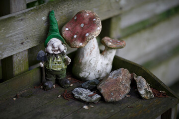 Whimsical garden gnome standing beside vibrant mushrooms on a weathered garden bench in late...