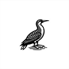 Fototapeta premium Black and white woodcut style illustration of a loon bird