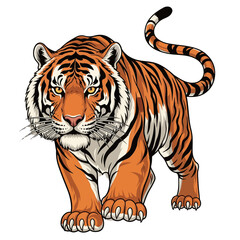 Walking Tiger Vector