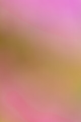 Dreamly, out of focus abstract floral image featuring soft color gradients and natural petal textures. This artistic background is perfect for photograghers, designers and retouchers.
