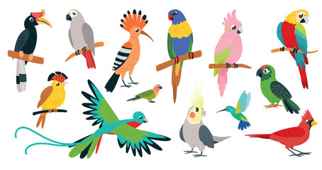 Cartoon tropical birds. Cute parrots, kolibri toucan. Paradise exotic bird, sitting on branch, flying. Isolated parakeet macaw ara, classy vector characters