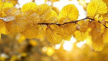 Golden autumn leaves gently swaying in the breeze, bathed in warm sunlight evoking a sense of - Powered by Adobe