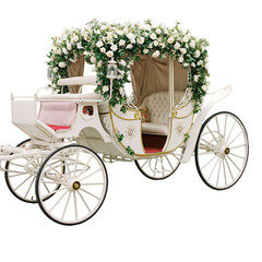 Elegant Floral Carriage Illustration on Isolated Background