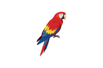 Colorful Scarlet Macaw Vector Illustration Tropical Parrot Bird Graphic Design