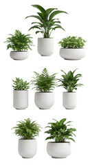Obraz premium Collection of Potted Plants Illustration