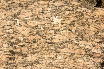 Close-up of a rough section of Augen Gneiss, showing the eyelike features which gives it its name