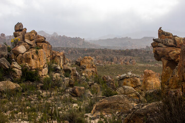 The Reddish brown weathered Sandstone Blocks of the Table Mountain Formation scattered in a valley...