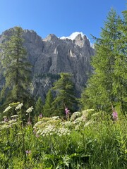 mountain landscape in the mountains