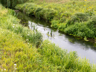 A small stream running through a lush green field