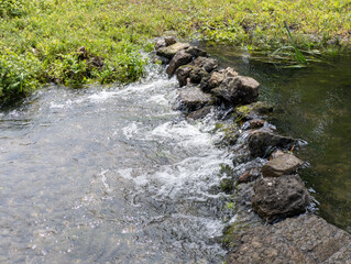 A small stream running through a lush green field