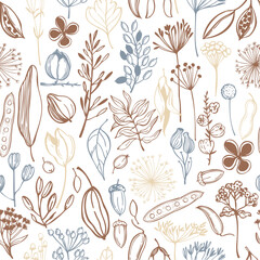 Hand-drawn wild herbs, flowers and seedpods.  Vector seamless pattern.  