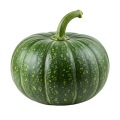 Isolated Green Pumpkin on Black Background