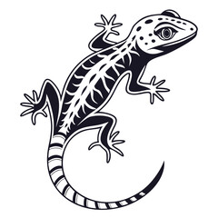 Gecko Vector Illustration – Exotic Lizard Reptile Design