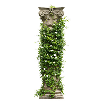 Isolated Photo of Stone Column with Vines and Flowers