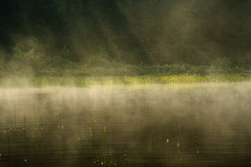 A close-up view of a misty lake at dawn, with golden light streaming through the fog and casting a soft glow on the water&rsquo;s surface. An ethereal and tranquil scene evoking calm and quiet reflection.