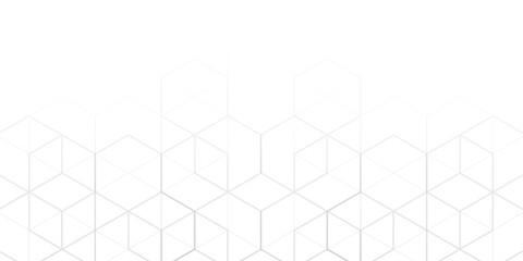 White background with lines. Abstract background of hexagons. Technological background. Vector illustration.