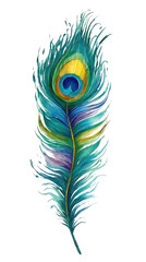 Obraz premium Vibrant peacock feather, detailed illustration