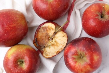 Spoiled apple and good ones on white table, flat lay