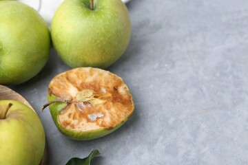 Spoiled apple and good ones on grey table, closeup. Space for text