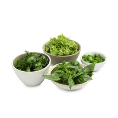 Different aromatic herbs in bowls isolated on white