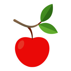apple with leaf