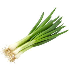 Isolated Photo Realistic Green Onions on Transparent Background