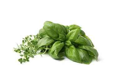 Different fresh green herbs isolated on white